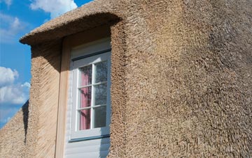 Rede thatch roof disadvantages